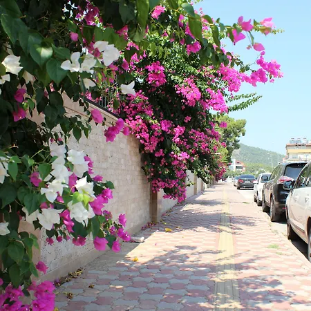 Διαμέρισμα Tebriz