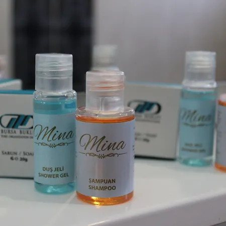 Διαμέρισμα Tebriz Κεμέρ